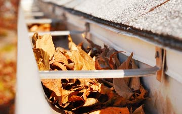 Eashing gutter cleaning companies