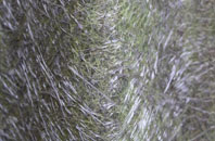 Eashing fibreglass roof work